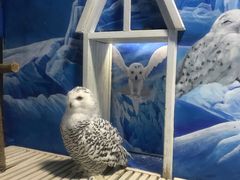 -成都浩海立方海洋公园