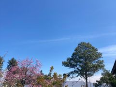 -云禾壹海景庄园餐厅