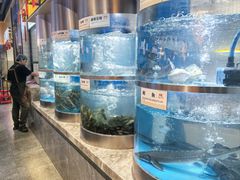 -老船舫·现做活鲜鱼馆(东郊记忆店)