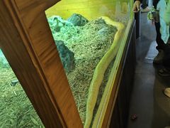 -海合安武汉极地海洋公园