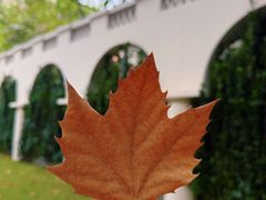 -夏朵花园(复兴西路店)