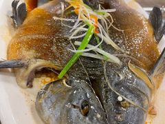 -马帮菜馆·美味野生菌