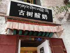 门面-古树酸奶(八廓南街店)