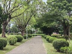 -紫马岭公园
