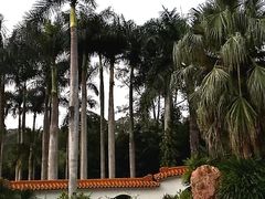 -深圳仙湖植物园