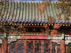 -灵谷景区