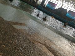 -龙达温泉生态城