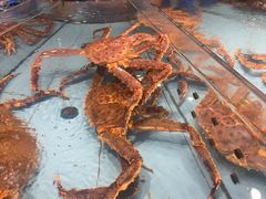 -渔傅·霞浦滩涂海鲜(建平店)