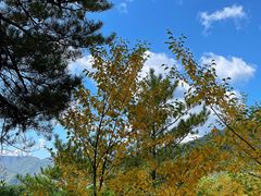 -五女峰国家森林公园