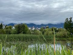-翠田Green Field Kitchen
