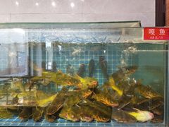 -大鹅岛灶台鱼·铁锅炖(水库路店)
