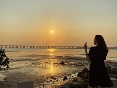 -宝安西湾红树林湿地公园