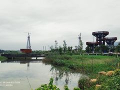 -芒洲湿地公园