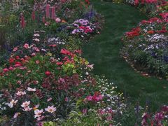 -共青国家森林公园-南大门停车场