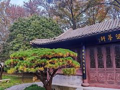 -团城山公园