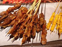 锡盟现穿羔羊串-火联烧烤(学院路创始店)