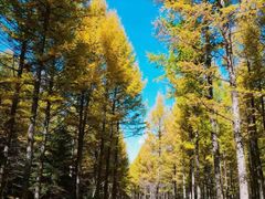 -承德避暑山庄景区