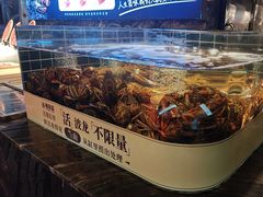 -雍容荟帝王蟹活龙虾展台自助(IFS黑金店)