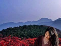 -赵家台民俗旅游村