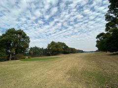 -银涛高尔夫练习场(徐泾店)