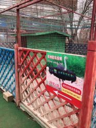 -萌宠亲子动物乐园(槐房万达店)