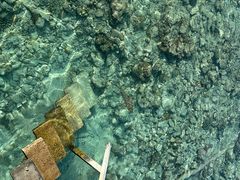 -中央格兰德岛温泉度假酒店 - 全包