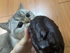 -上海哈尔滨食品厂(浦商百货昌里店)