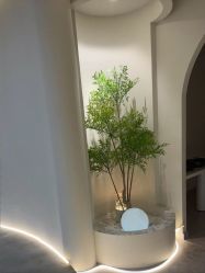 -VE专注问题肌·赛诺龙&科学美肤中心