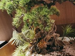 -湘邻呷铺·田园家宴(汉基广场店)