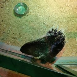 -酷嗒动物文化乐园(cutezoo西溪乐天城店)