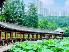 -龙头寺公园