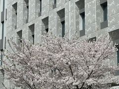 -上海市第十人民医院(总院)