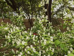 -元大都城垣遗址公园