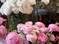 -格蕾花坊(民盈·国贸城店)