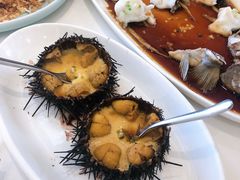 海胆-奕景海鲜(星海广场店)