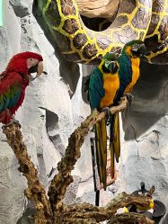 点击看大图 -Zoolung Zoolung动物主题公园(海信广场店)