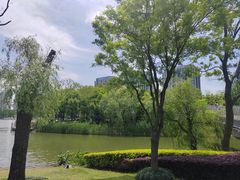 -南翔镇银翔湖公园