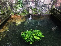 -韬光茶庵