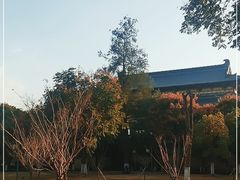 -永安龟山公园