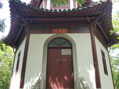 -上海佘山国家森林公园天马山园