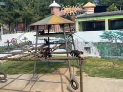 -西霞口神雕山野生动物世界