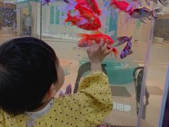 -澳洲袋鼠早教(金辉环球广场店)