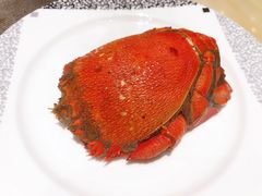 -西藏饭店·亚克·食光自助餐厅