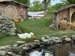 -HERRE·FARM 赫尔露营农场·团建聚会包场