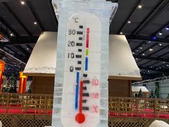 -宁波冰雪大世界(北仑区)