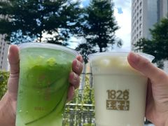 -1828王老吉·草本新茶(珠江新城地铁站店)