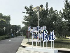 -白洋淀景区