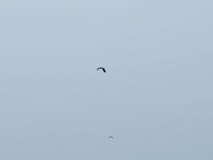 -丁香湖公园