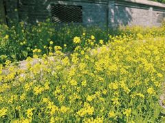 -三里河公园
