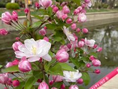 -元大都城垣遗址公园